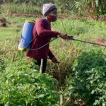 Empowering Young People Through Skills Development
